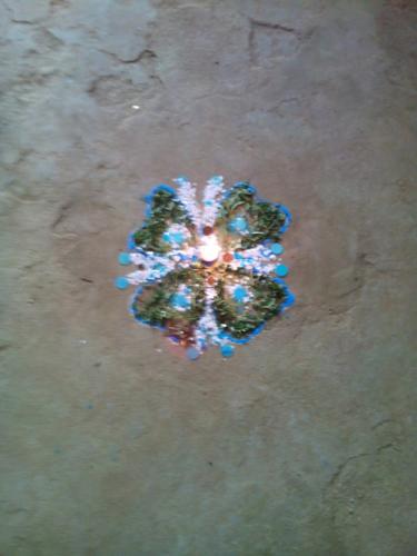 IMG 20131102 122324 (Copy)