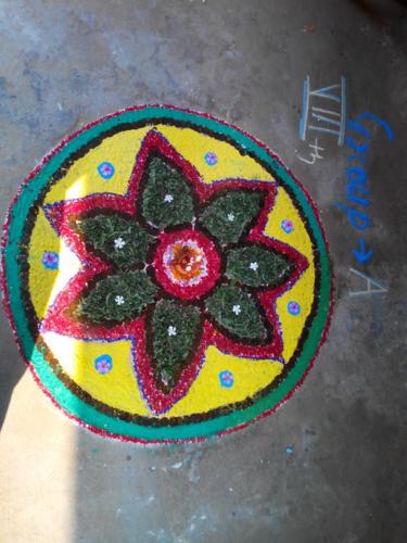 IMG 20131102 122850 (Copy)